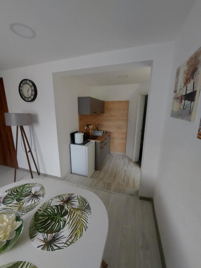 Lucic Guesthouse 采蒂涅 外观 照片